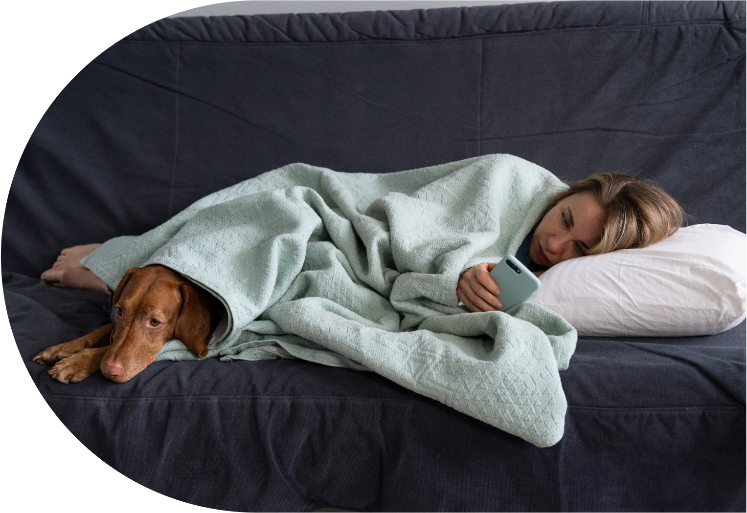 img_digital_front_door-57de895a